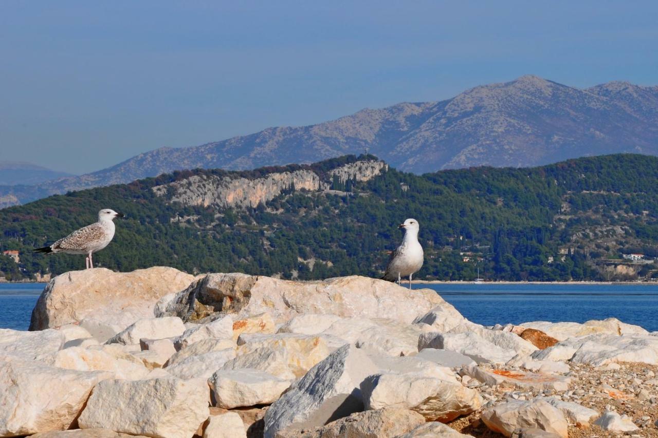 Apartments Villa Annika Slatine Εξωτερικό φωτογραφία
